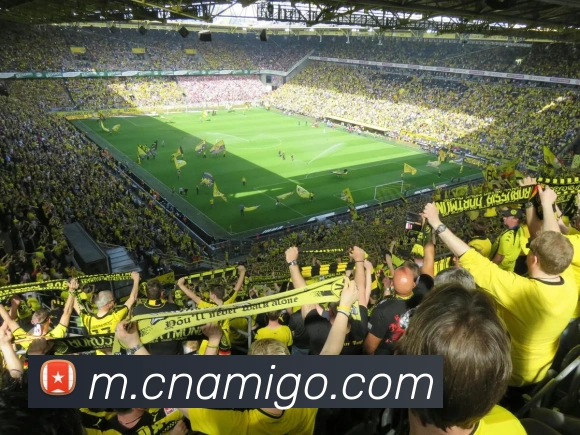 电竞内容频道